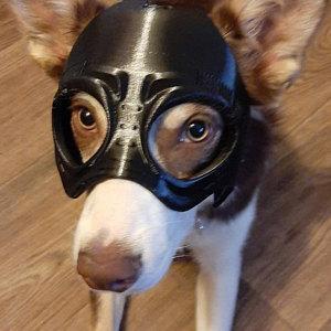 Dog Ranger Spy Helmet Stl mask File