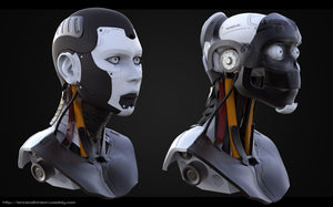 High Poly Female Cyborg Head 3D model