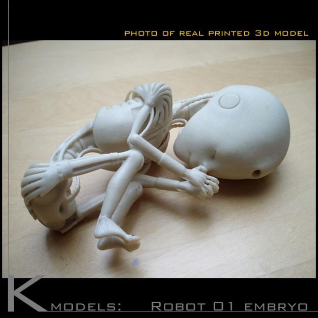 Robot 01 embryo 3D print model